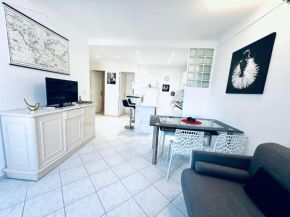 Grand appartement centre piéton Cannes
